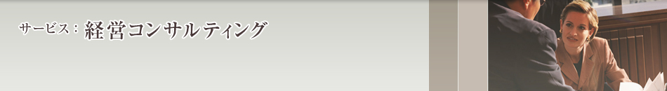 経営コンサルティング